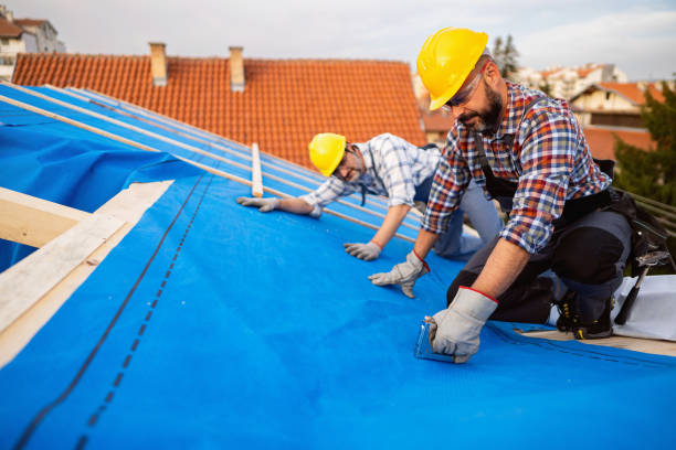 Best Roof Ventilation Installation  in Mansura, LA
