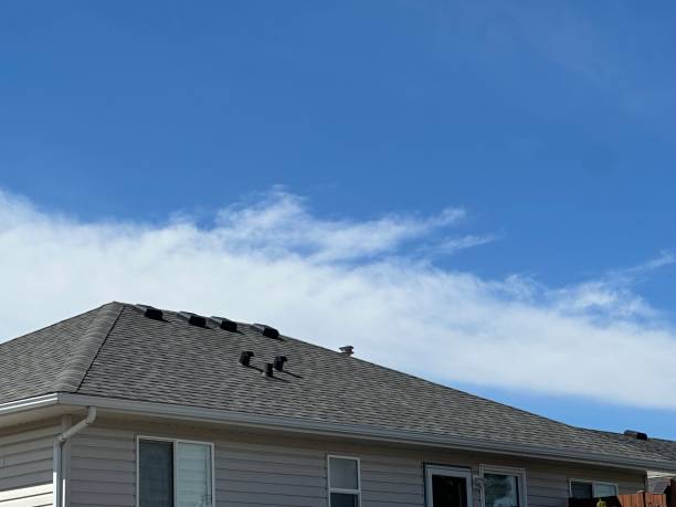 Best Roof Leak Repair  in Mansura, LA